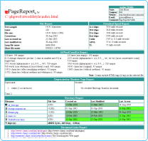 gmPageReport